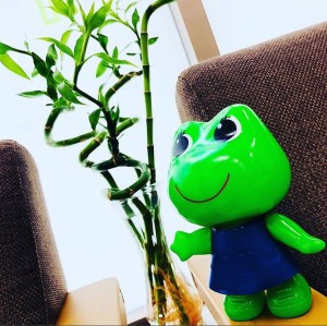 株式会社H&Nホールディングスの写真1