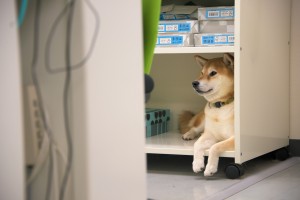 株式会社H&Nホールディングスの写真2