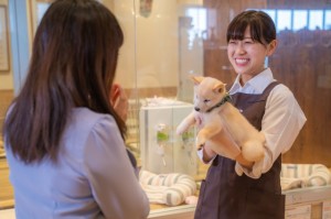 株式会社ＡＨＢ　ペットプラス三好店の写真3