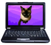 株式会社 THINKCATの写真1