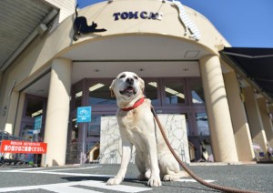 株式会社アオキの写真1