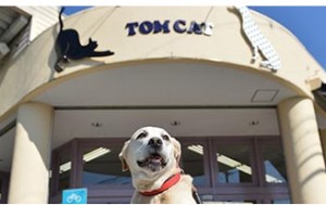 株式会社トムキャットの写真2