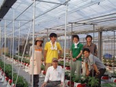 川合肥料株式会社豊田うま野菜ファームの写真1