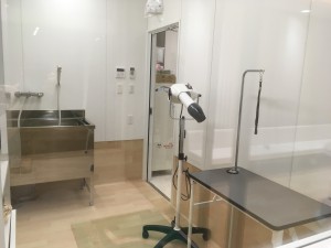 希望ヶ丘動物病院の写真3