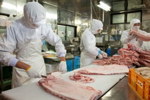 株式会社 ブリオ本社工場の写真3