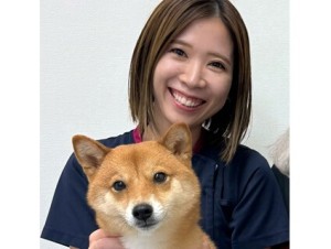 株式会社ベッツジャパン(松波動物病院グループ)の写真3